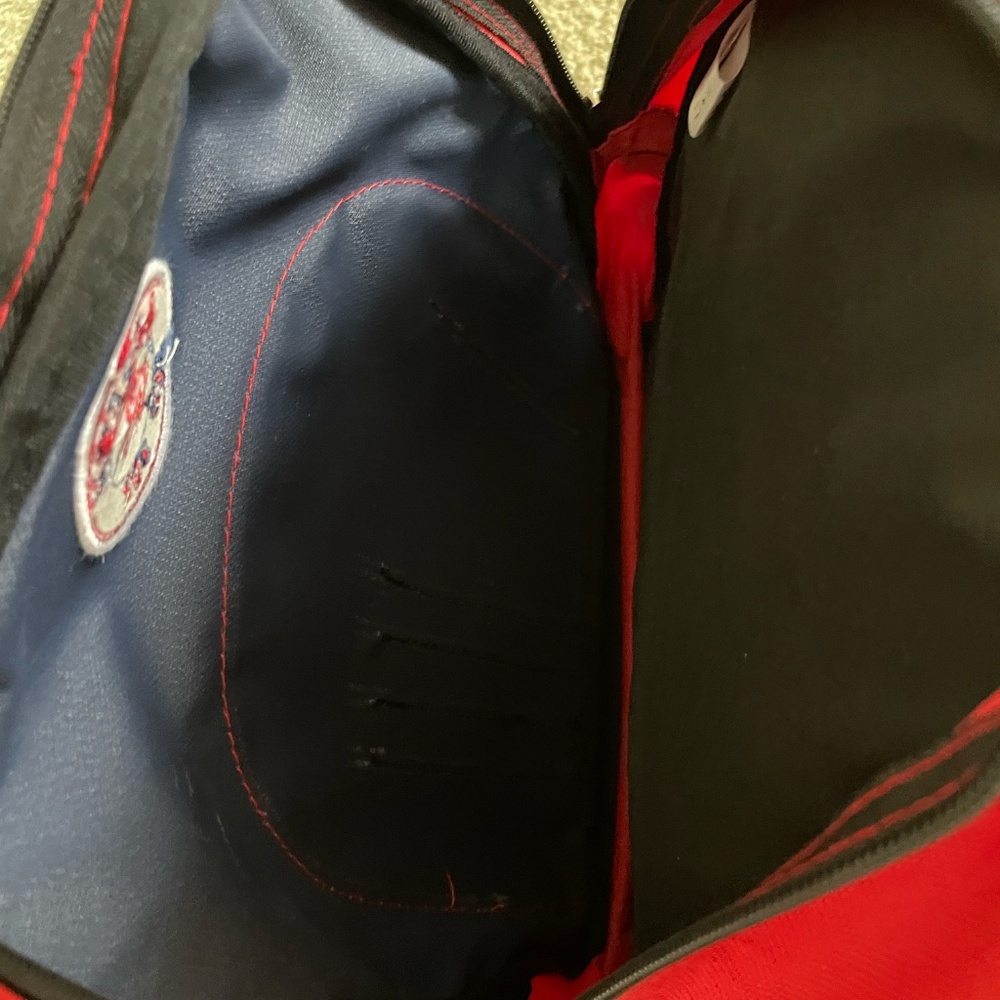 BOSTON Red Sox Mini Backpack - Picture 5 of 5